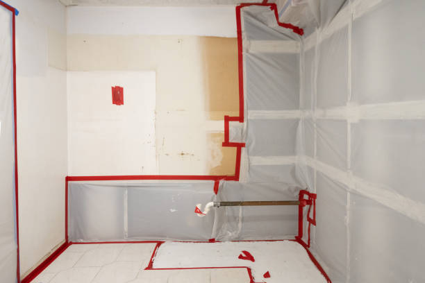 Best Basement Mold Removal  in Eastmont, WA